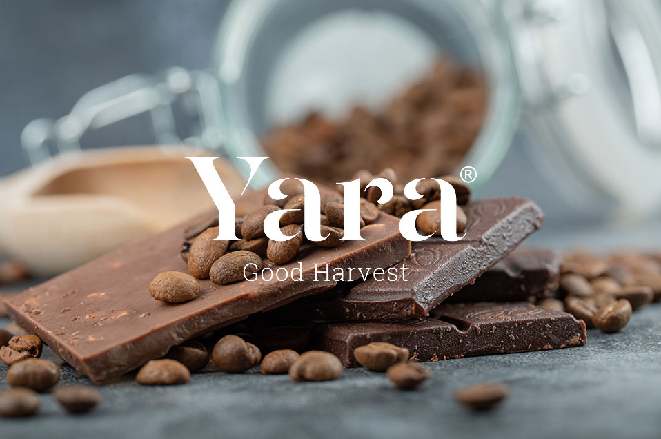 Yara Chocolate